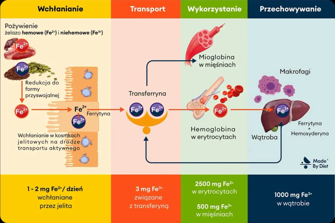 Czym jest osobowość? Od genów po zaburzenia pełny przewodnik